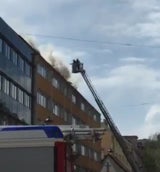 brand