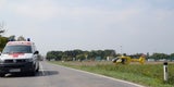 E-Biker von Pkw erfasst und getötet - Lenker flüchtete