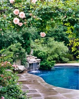 Biotop mit Wasserfall selbst bauen: So gelingts!