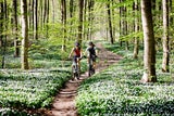 Mehr Energie im Frühling
