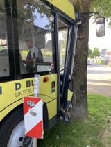 Linienbus mit Schulklasse crasht in Baum: Neun Verletzte