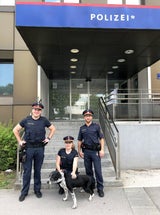 Hund stürzte in Bach und war geschwächt - Polizisten retteten das Tier