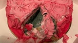 Ekelkuchen