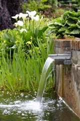 Biotop mit Wasserfall selbst bauen: So gelingts!