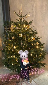 Unsere Promis zeigen ihre Christbäume