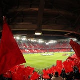 'Das neue Ajax': Mega-Euphorie um Bullen