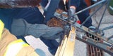 Igel Graz Gitter