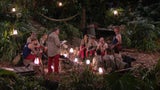 Erster Ekel-Alarm im Dschungel-Camp