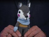 ORF Wolf