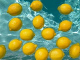 Darum sollten wir jeden Morgen Zitronenwasser trinken