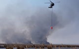 Neusiedler See Black Hawk