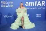 AMFAR Gala: Nackter Glamour am "blauen Teppich"