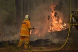 Australien-Rauchwolke weht bis Südamerika