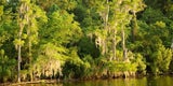 Fünf State Parks für deine Bucketlist