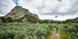 Fünf State Parks für deine Bucketlist