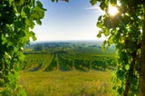 Burgenland: Top Oasen im Frühling
