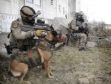 Militärdiensthunde zerfleischen Hundeführer in Kaserne
