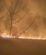 Brand Neusiedler See