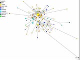 Drei Mutationen: So breitet sich das Coronavirus auf der Welt aus