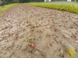 Unwetter