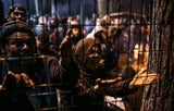"Abwehrschlacht" der Griechen an Grenze zur Türkei