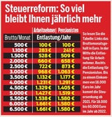 Steuerreform im Experten-Check