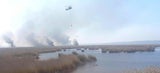 Neusiedler See Black Hawk