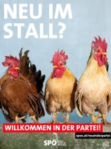 SPÖ Kampagne lustig