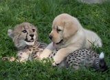 columbuszoo