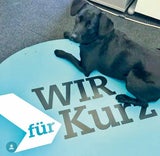 VP-Fans "bekennen Farbe" für ihren Chef Kurz