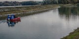 Kalb in Donau Bezirk Melk