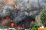 buschfeuer australien