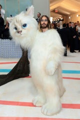 Jared Leto versteckte sich unter einem&nbsp;Katzenkostüm