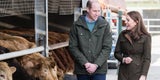 Kate William Irland
