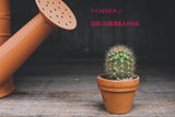 Die 5 wichtigsten Gartenwerkzeuge