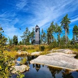Ziplining in Europa: Diese Seilrutschen sind nichts für Angsthasen
