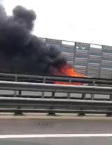 Auto brennt auf Wiener Außenring-Autobahn