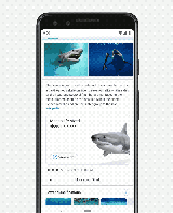Android 10 ist da: Top-Neuerungen im Überblick