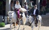 George Clooney Esel