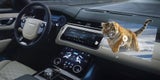 3D-Head-up-Display und 3D-Videos ohne Brille