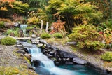 Biotop mit Wasserfall selbst bauen: So gelingts!