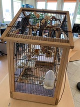 Vögel