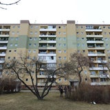 Mord in Wien-Donaustadt