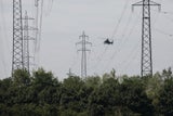 Danube Free Sky - Unsere Tiere - Vogelsichere Hochspannungsleitungen - Bild 1