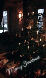 Unsere Promis zeigen ihre Christbäume
