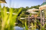 Burgenland: Top Oasen im Frühling