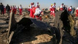 Flugzeug-Tragödie mit 176 Toten: Video zeigt Raketen-Einschlag