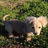 Amazinggracie.ga