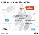 Militärdiensthunde zerfleischen Hundeführer in Kaserne