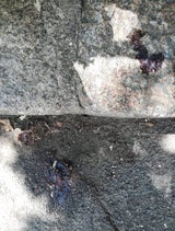 blut flecken